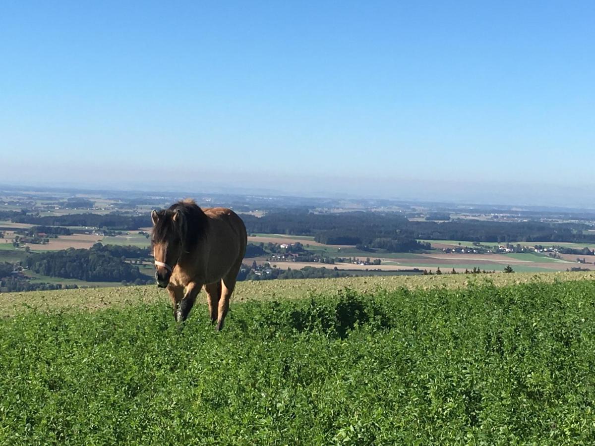 Hochhubergut Villa Aschach an der Steyr Buitenkant foto